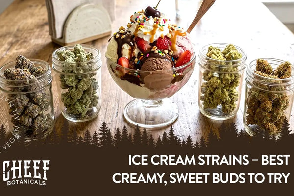 Ice Cream Strains – Top 9 Creamy, Sweet Buds to Try
