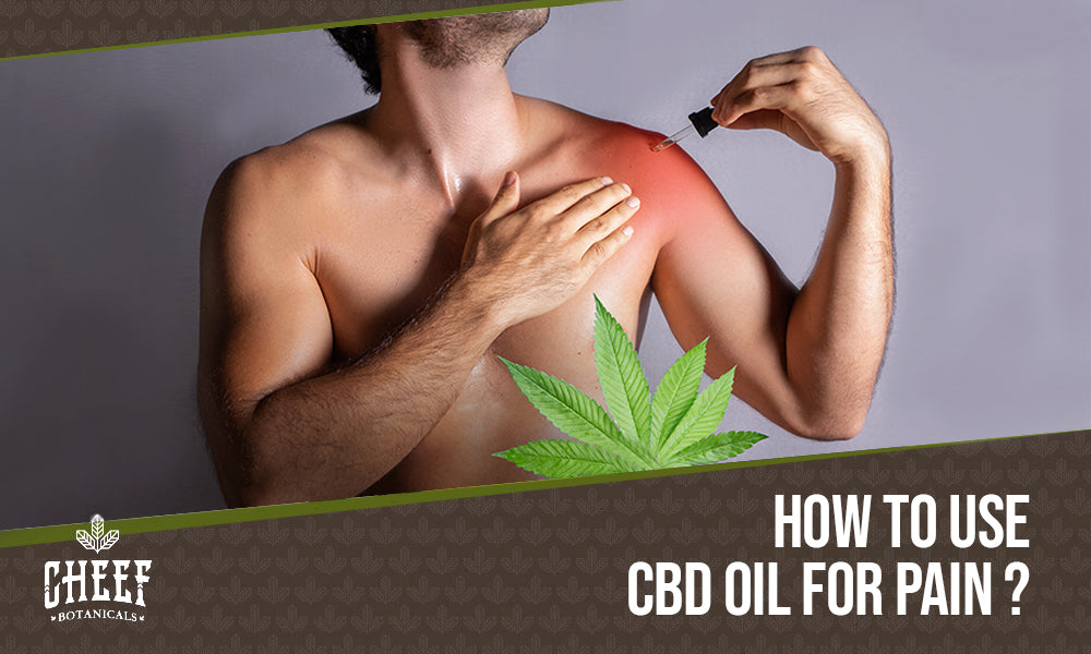 How To Use CBD Oil For Pain?