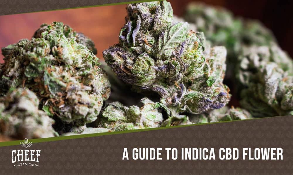 Indica CBD Flower (featured blog image by Cheef Botanicals) shows a pile of cured CBD buds