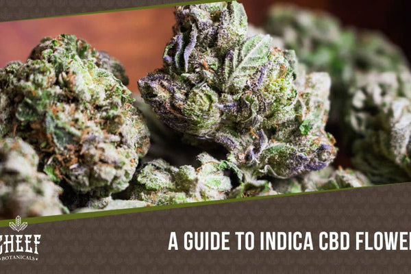 Indica CBD Flower Guide: Effects, Top Strains, and More