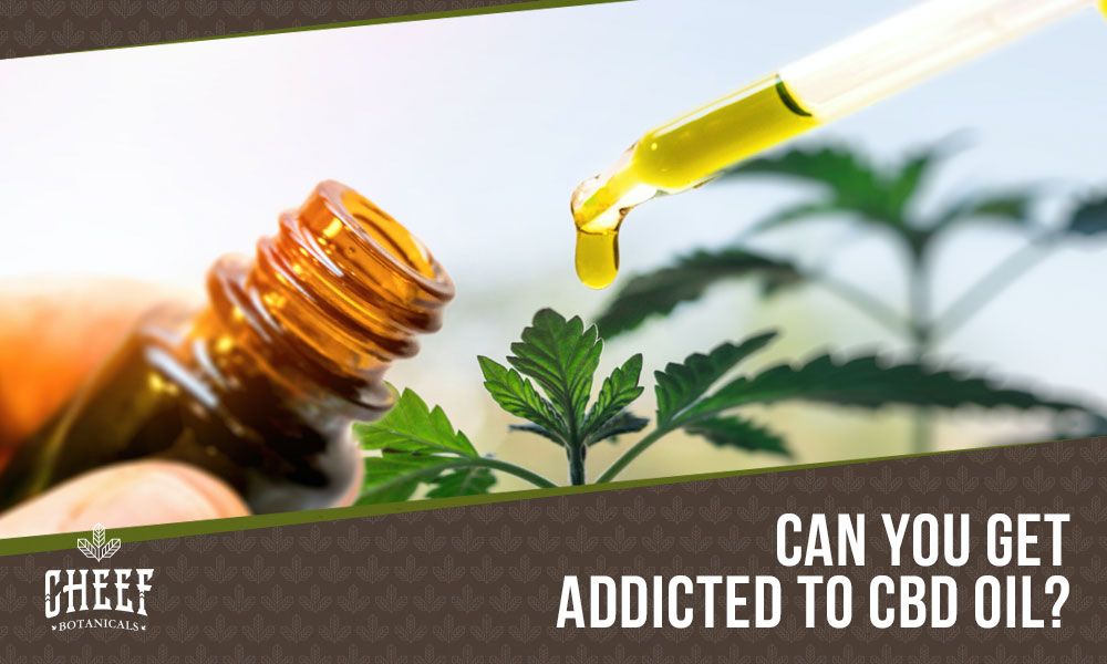 Featured blog image by Cheef Botanicals showing CBD oil dripping from a dropper near cannabis leaves with the text “Can You Get Addicted to CBD Oil?” highlighting is CBD oil addictive.