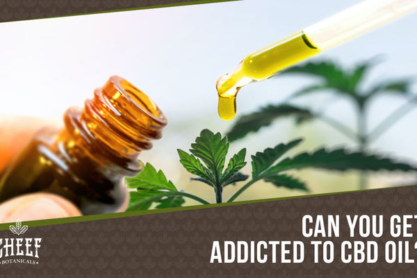 Is CBD Oil Addictive? No, It's Not! Here Is Why