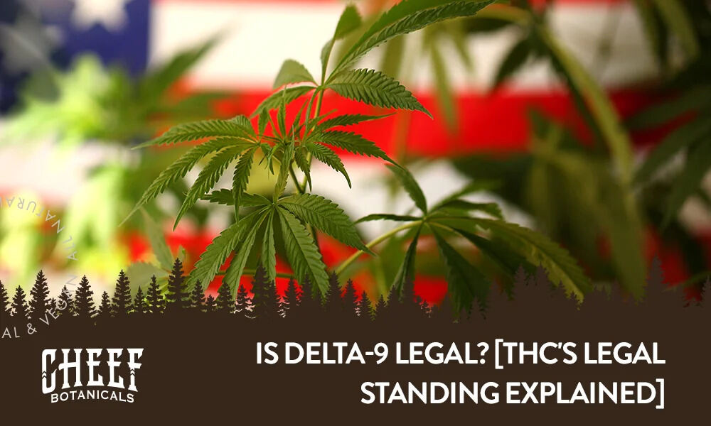 is delta-9 legal (featured blog image by Cheef Botanicals) shows a cannabis plant in front of the American flag
