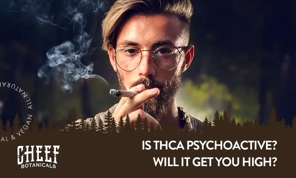 Featured blog image by Cheef Botanicals showing a man smoking cannabis with the text “Is THCA Psychoactive? Will It Get You High?” highlighting THCA psychoactive.