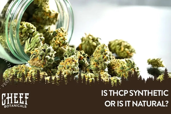 Is THCP Synthetic or Is It a Natural Cannabinoid?