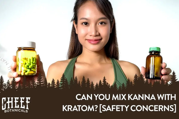 Can You Mix Kanna and Kratom? [Safety Concerns To Know About]