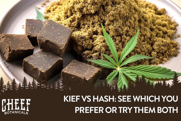 Kief vs Hash: Which Cannabis Concentrate Reigns Supreme?
