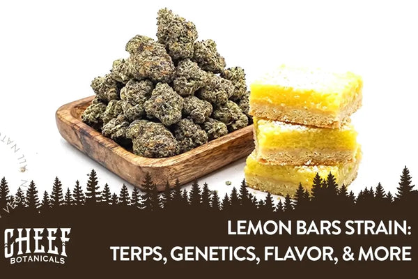 Lemon Bars Strain – Zesty Flavor, Effects & More [Complete Guide]
