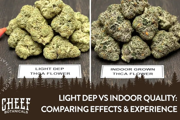 Light Dep vs Indoor Quality – Differences Explained & Why It Matters