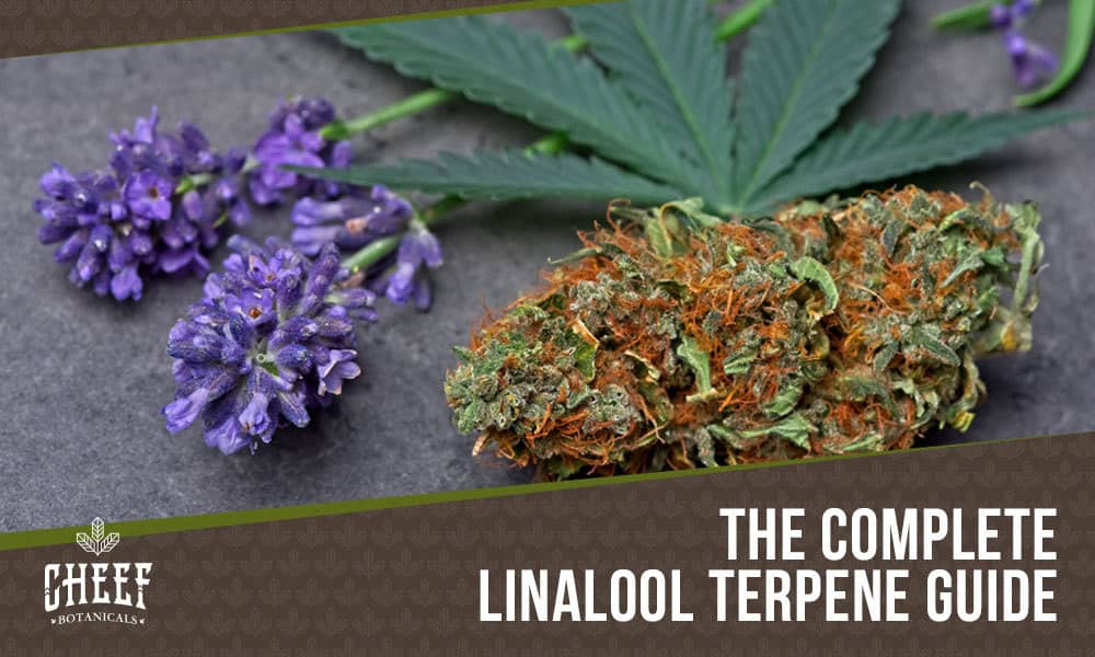 linalool