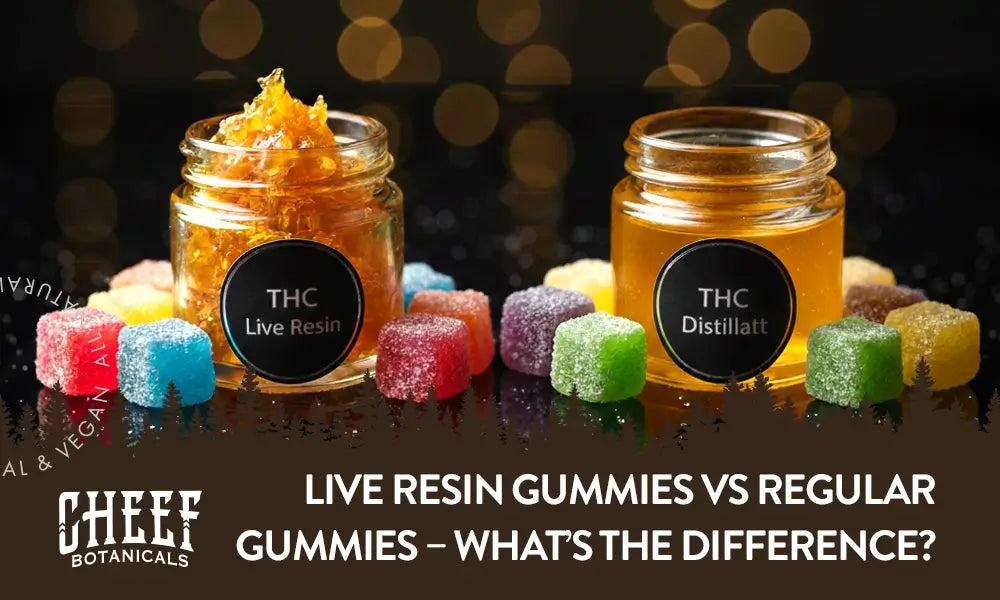 Live Resin Gummies vs Regular Gummies (Featured Blog Image by Cheef Botanicals) shows a small jar each of THCa live resin and THCa distillate surrounded by sugar-coated gummies