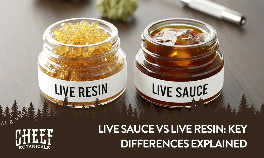 live sauce vs live resin (featured blog image by Cheef Botanicals) shows live resin and live sauce in separate containers