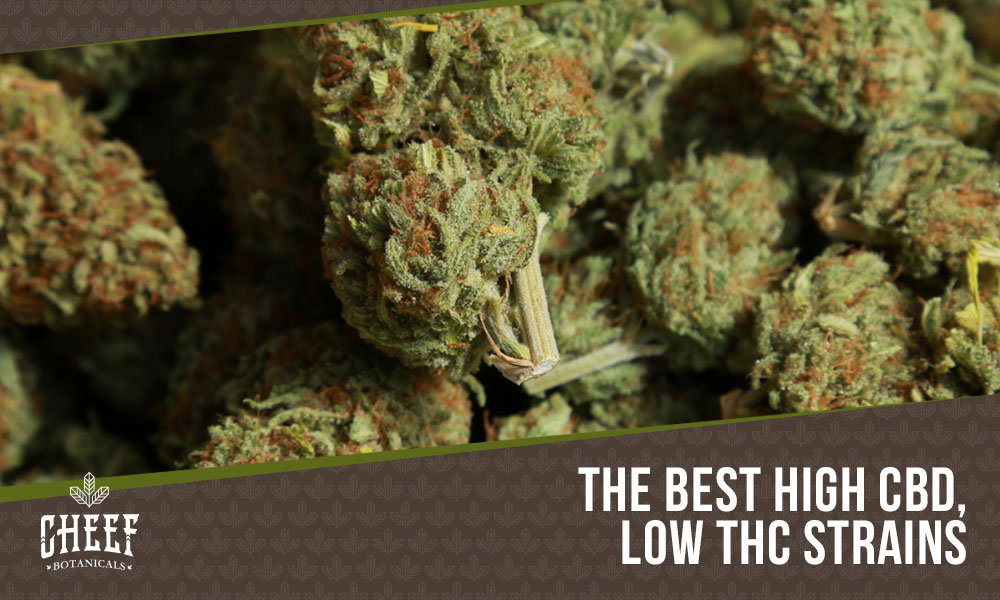 low thc strains