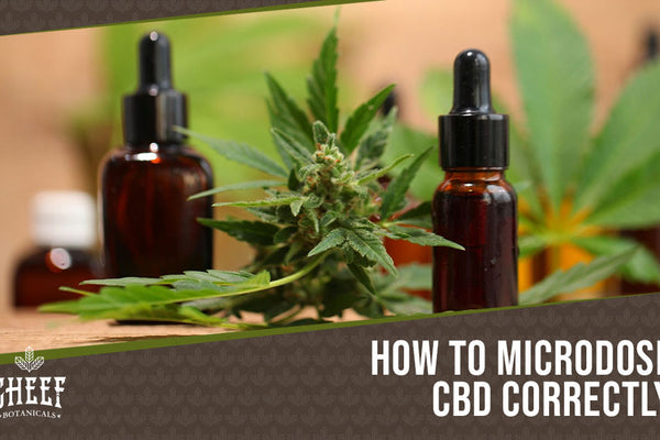 How To Microdose CBD: Gaining the Most With a Small Dose