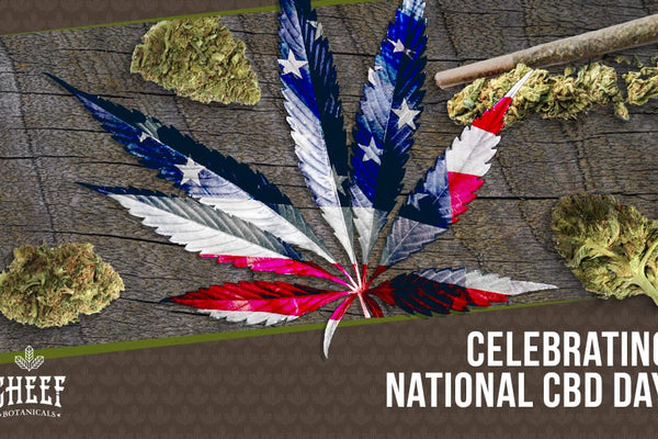 National CBD Day [History, Meaning, & Celebration]