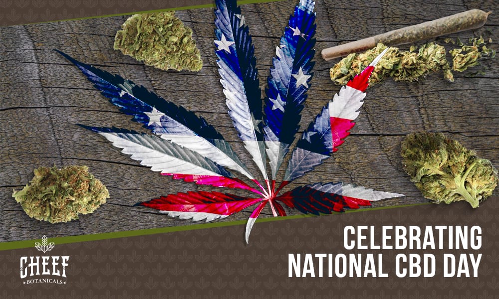 National CBD Day (featured blog image by Cheef Botanicals) shows a cannabis leaf with highlights of the American Flag