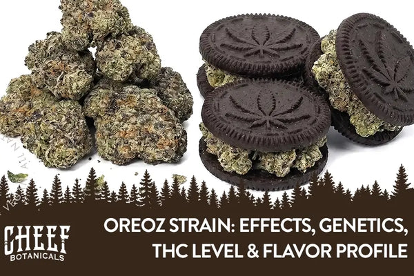 Oreoz Strain Guide: Effects, Genetics, THC Level & Flavor Profile