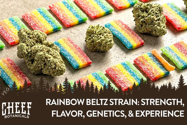 Rainbow Beltz Strain: Potency, Flavor, Genetics, & Experience