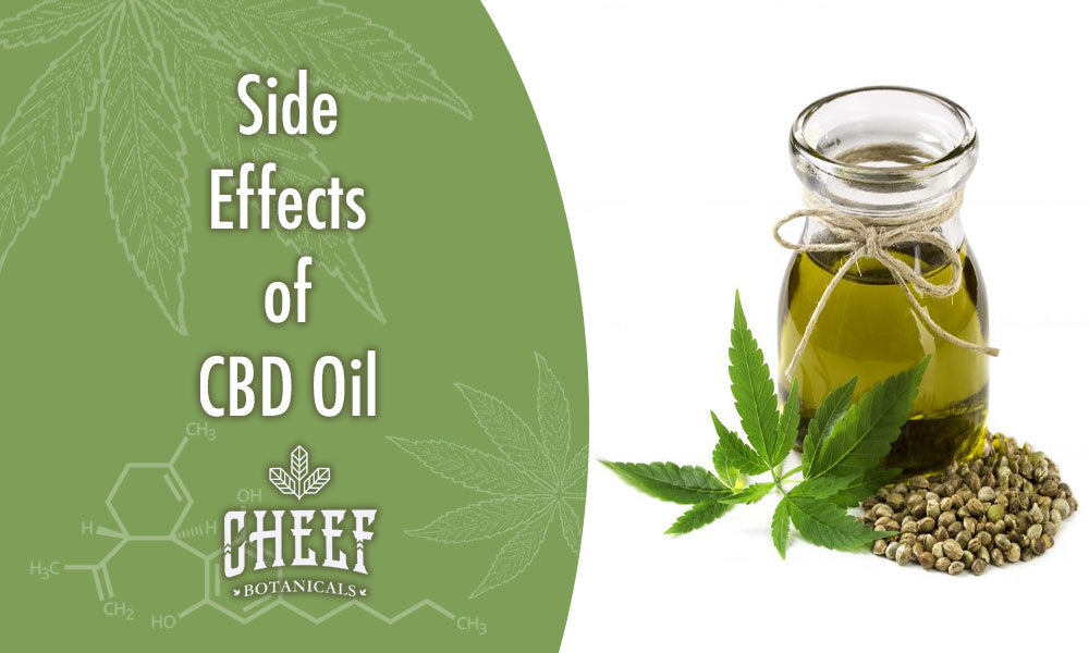 Featured blog image by Cheef Botanicals showing a jar of CBD oil with cannabis leaves and hemp seeds beside the text “Side Effects of CBD Oil,” highlighting CBD oil side effects.