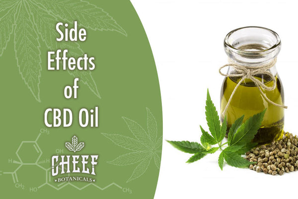 What Are The Side Effects What Are the Side Effects of CBD Oil? A Complete Guide CBD Oil [FULL BREAKDOWN]