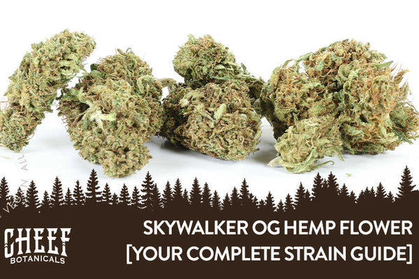Skywalker OG CBD Flower [Your Complete Strain Guide]