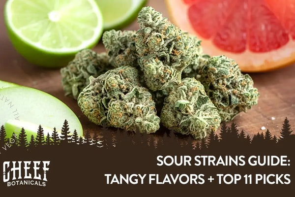 Sour Strains Guide: Top 11 Tangy Flavored Picks