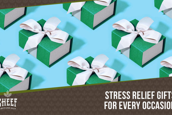 Stress Relief Gifts: Top 12 Calming and Relaxing Gifts