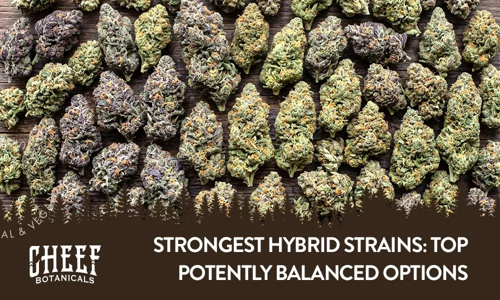 Strongest Hybrid Strains (featured blog image by Cheef Botanicals) shows a bunch of different cannabis buds covering the entire image.