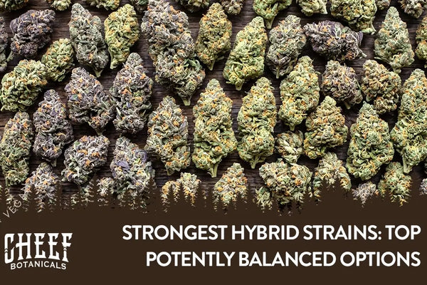 Strongest Hybrid Strains: Top 18 Most Potently Balanced Options