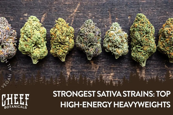 Top 18 Strongest Sativa Strains “High-Energy Heavyweights”
