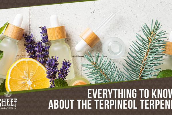 Terpineol Terpene Guide: Effects, Flavor, and Strains
