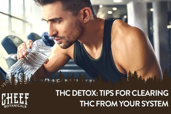 THC Detox : Tips for Clearing THC From Your System