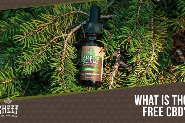 THC-Free CBD: Gain the Benefits of CBD With Zero THC