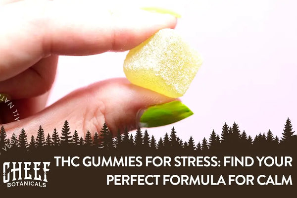 THC Gummies for Stress Guide: Find Your Perfect Formula for Calm