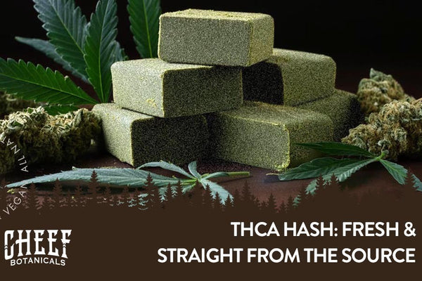 THCa Hash: Smooth, Pure, & Potent