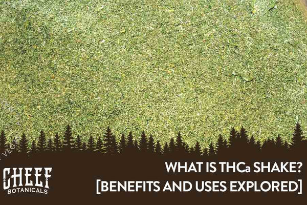 What Is THCa Shake? [An Overlooked Cannabis Treasure]