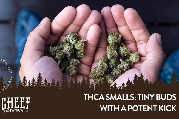 THCa Smalls: Tiny Yet Powerful Buds
