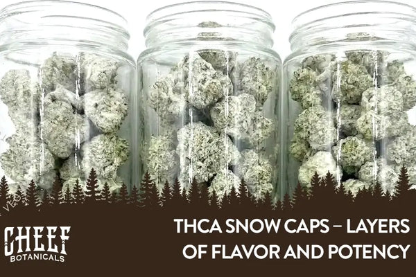 THCa Snow Caps – Layers of Flavor and Potency