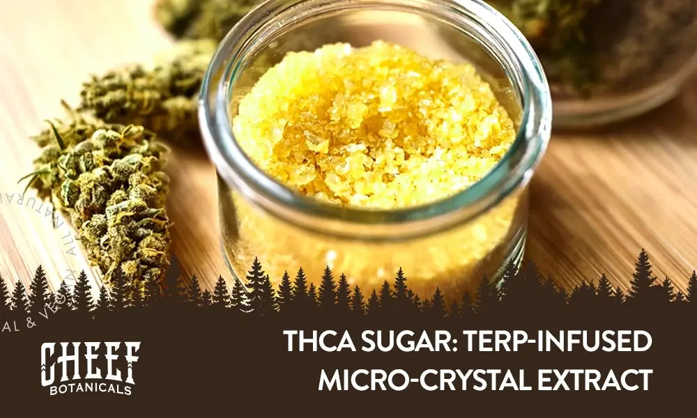 THCa Sugar featured blog image by Cheef Botanicals. Shows a small glass container full of THCa sugar (yellpow granulated thca concentrate with some buds nearbyS