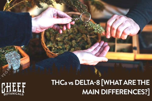 THCa vs Delta-8 [Effects, Strength, Legality, and Key Differences]