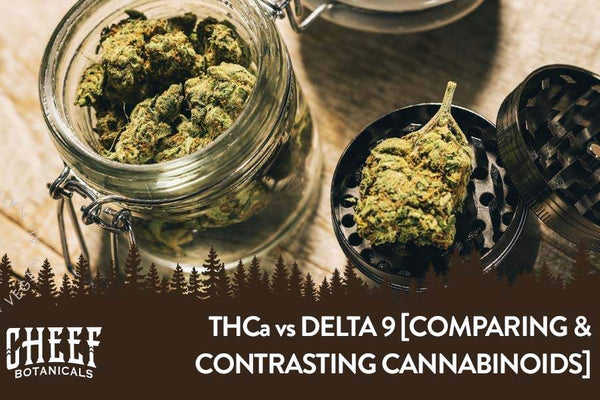 THCa vs Delta 9 [Comparing Major Cannabinoids]