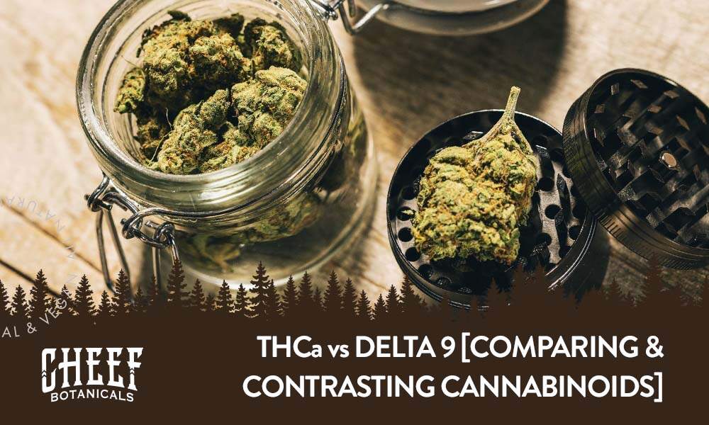 Featured blog image by Cheef Botanicals showing cannabis flower in a jar and grinder with the text “THCA vs Delta 9 [Comparing & Contrasting Cannabinoids],” highlighting thca vs delta 9.
