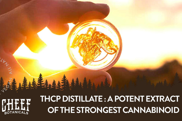 THCp Distillate: Effects, Legality, and Consumer Insights