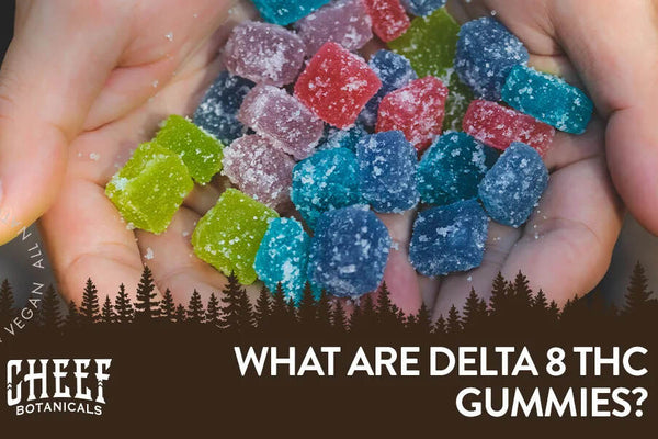 What Are Delta-8 THC Gummies? [A Brief & Informative Guide]
