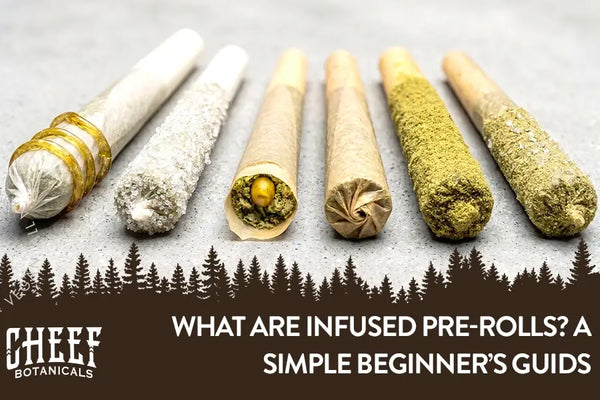 What Are Infused Pre-Rolls? Different Types Explained