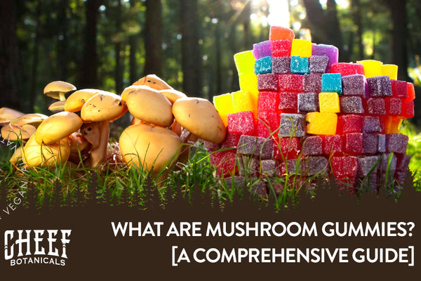 What Are Mushroom Gummies? [Various Options Explained]