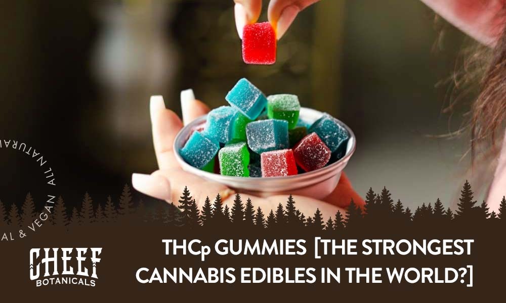what are thcp gummies fi