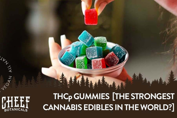 What Are THCp Gummies? [A New Frontier in Cannabis Edibles]