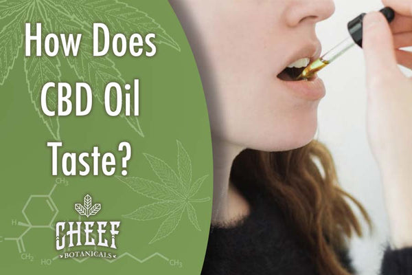 What Does CBD Oil Taste Like & How Does It Smell?