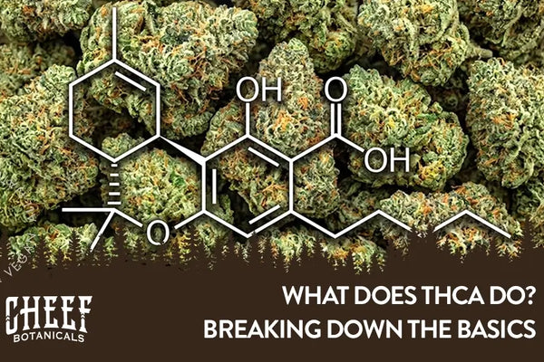What Does THCa Do? Breaking Down the Basics